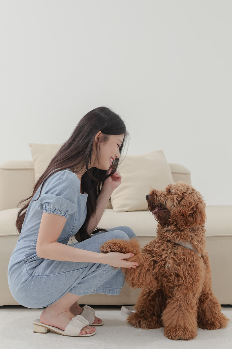 [RESTOCK] Charlie Denim Zipped Jumpsuit Dark Wash