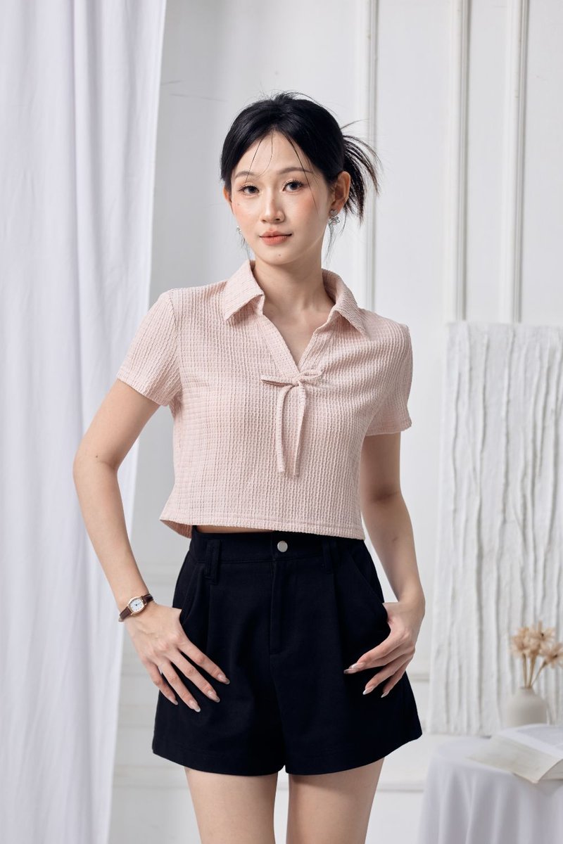 Hailey Textured Collared Top Blush